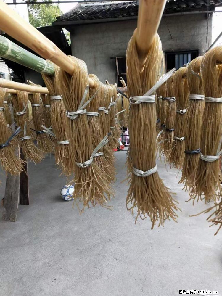 【灌阳正宗红薯粉】美女家里自己做的，干净卫生，假一赔十，价格合理，抢购电话：13737312895 - 美食天地 - 锦州生活社区 - 锦州28生活网 jinzhong.28life.net