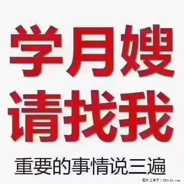 为什么要学习月嫂，育婴师？ - 其他广告 - 广告专区 - 锦州分类信息 - 锦州28生活网 jinzhong.28life.net