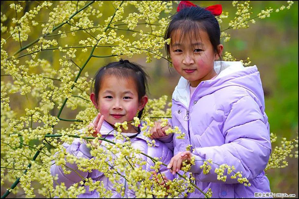 【春天，广西桂林灌阳县向您发出邀请！】米珠山前有片山苍子花在飘香 - 游山玩水 - 锦州生活社区 - 锦州28生活网 jinzhong.28life.net