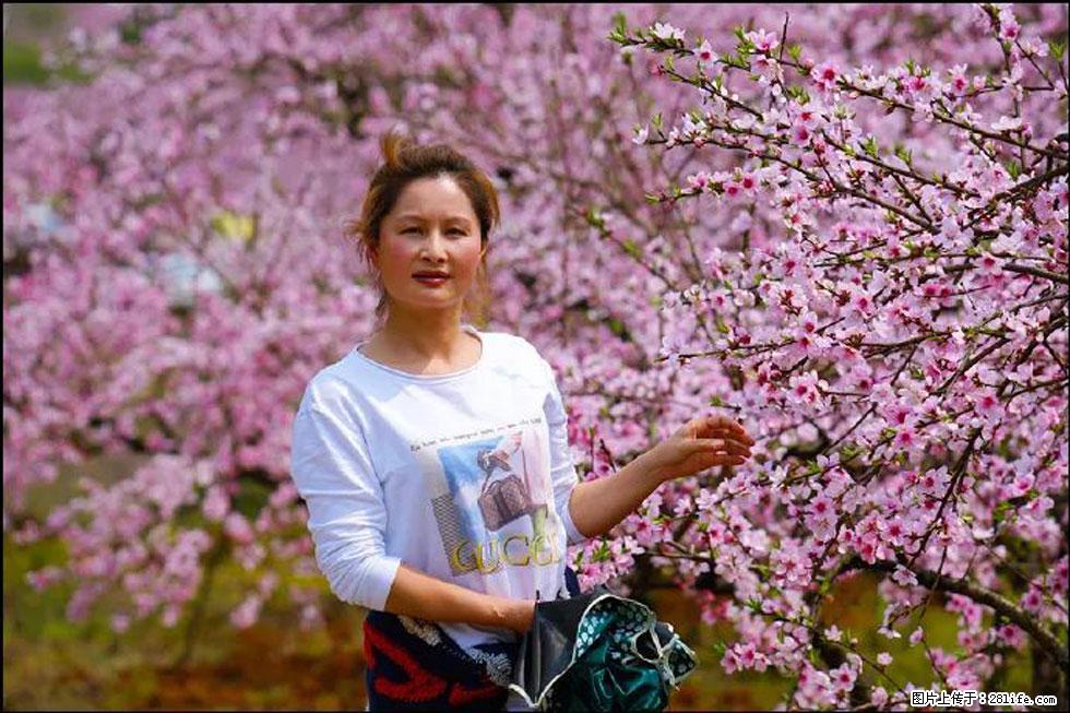 【春天，广西桂林灌阳县向您发出邀请！】官庄村有个醉美的桃花园 - 游山玩水 - 锦州生活社区 - 锦州28生活网 jinzhong.28life.net