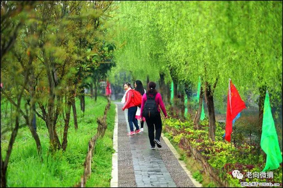 【春天，广西桂林灌阳县向您发出邀请！】江口老街又逢春 - 游山玩水 - 锦州生活社区 - 锦州28生活网 jinzhong.28life.net