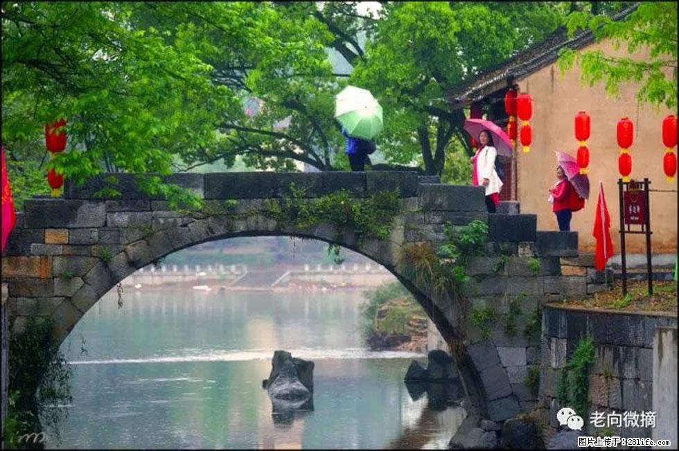 【春天，广西桂林灌阳县向您发出邀请！】江口老街又逢春 - 游山玩水 - 锦州生活社区 - 锦州28生活网 jinzhong.28life.net