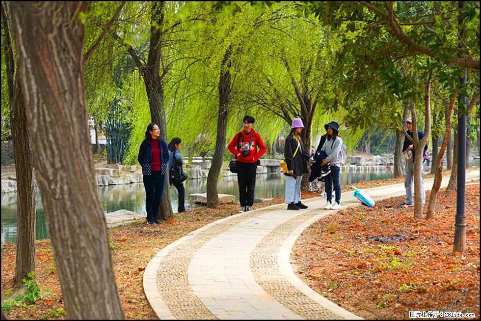 【春天，广西桂林灌阳县向您发出邀请！】江口老街又逢春 - 游山玩水 - 锦州生活社区 - 锦州28生活网 jinzhong.28life.net