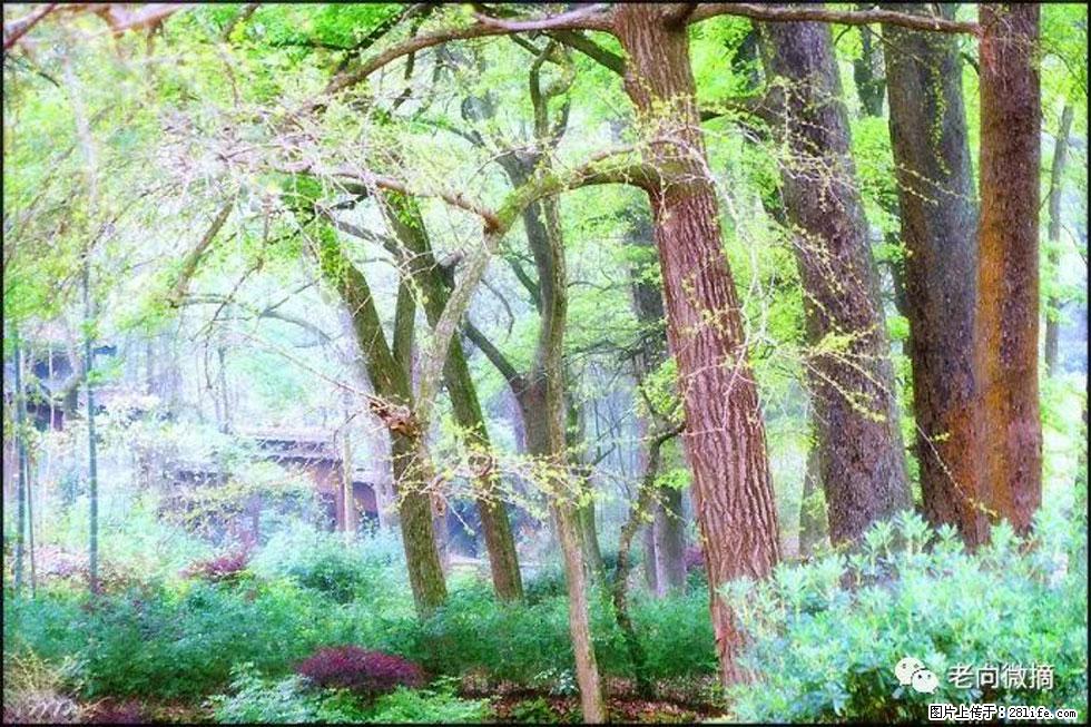 【春天，广西桂林灌阳县向您发出邀请！】在小龙村与春天约会 - 游山玩水 - 锦州生活社区 - 锦州28生活网 jinzhong.28life.net