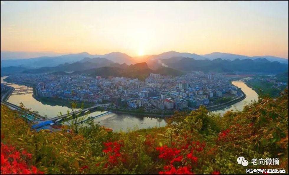 【春天，广西桂林灌阳县向您发出邀请！】登麒麟山，相约映山红 - 游山玩水 - 锦州生活社区 - 锦州28生活网 jinzhong.28life.net