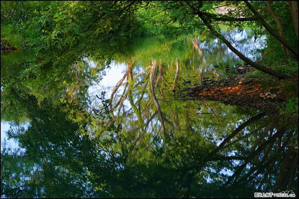 【春天，广西桂林灌阳县向您发出邀请！】熊家寨湿地公园 - 游山玩水 - 锦州生活社区 - 锦州28生活网 jinzhong.28life.net