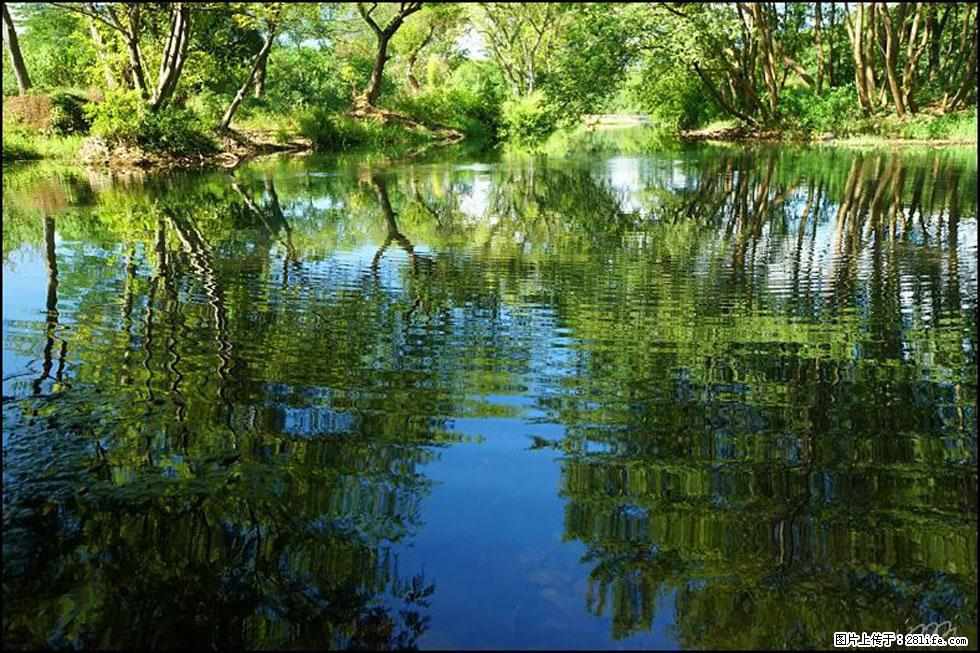 【春天，广西桂林灌阳县向您发出邀请！】熊家寨湿地公园 - 游山玩水 - 锦州生活社区 - 锦州28生活网 jinzhong.28life.net
