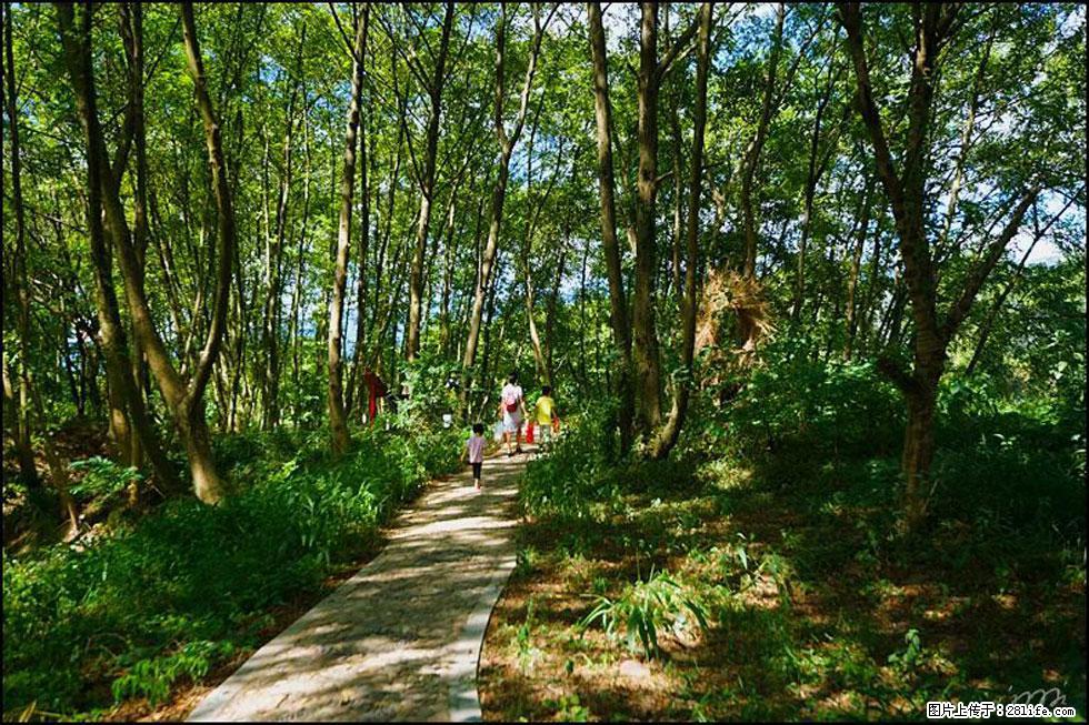 【春天，广西桂林灌阳县向您发出邀请！】熊家寨湿地公园 - 游山玩水 - 锦州生活社区 - 锦州28生活网 jinzhong.28life.net