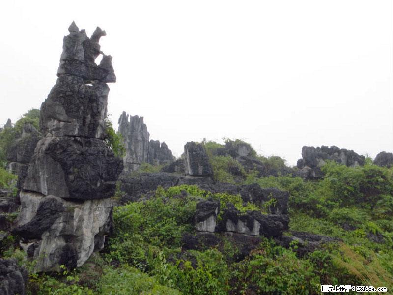 桂林旅游名城景点：灌阳文市石林 - 游山玩水 - 锦州生活社区 - 锦州28生活网 jinzhong.28life.net