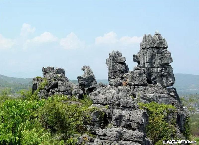 桂林旅游名城景点：灌阳文市石林 - 游山玩水 - 锦州生活社区 - 锦州28生活网 jinzhong.28life.net