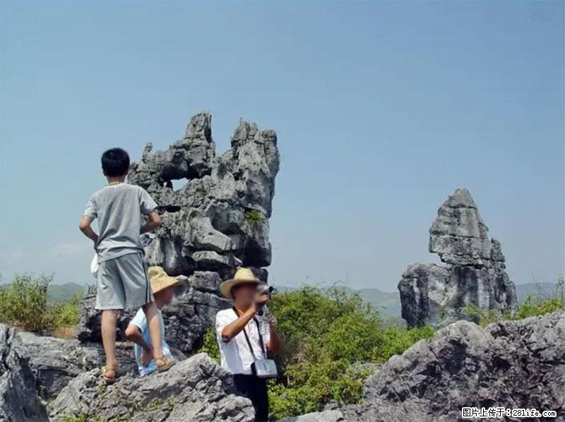 桂林旅游名城景点：灌阳文市石林 - 游山玩水 - 锦州生活社区 - 锦州28生活网 jinzhong.28life.net