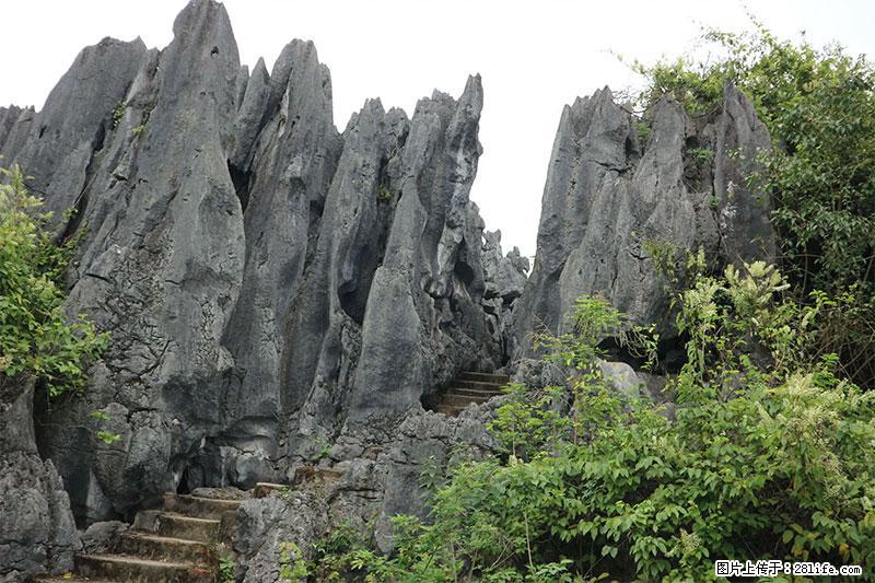 桂林旅游名城景点：灌阳文市石林 - 游山玩水 - 锦州生活社区 - 锦州28生活网 jinzhong.28life.net