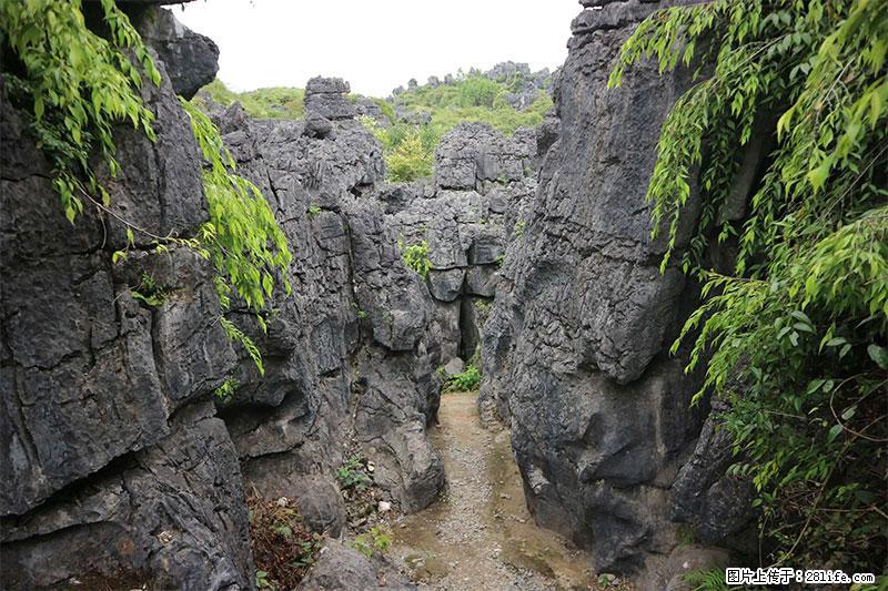 桂林旅游名城景点：灌阳文市石林 - 游山玩水 - 锦州生活社区 - 锦州28生活网 jinzhong.28life.net