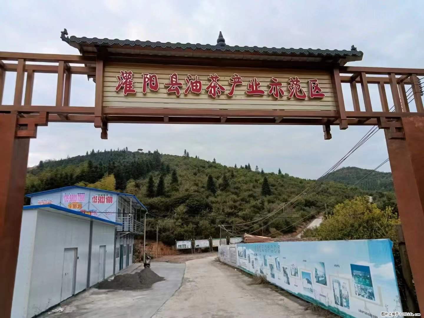【灌阳县油茶产业示范区】一个有着充实的精神生活的人，对待身外之物自会有一种淡泊的态度 - 美食天地 - 锦州生活社区 - 锦州28生活网 jinzhong.28life.net