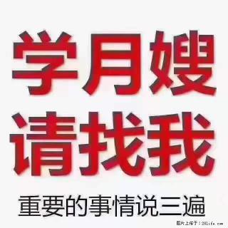 为什么要学习月嫂，育婴师？ - 锦州28生活网 jinzhong.28life.net