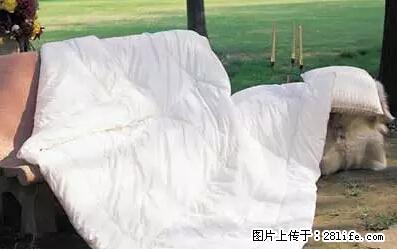 被子有异味？只要这样做，比晒太阳还强100倍！ - 家居生活 - 锦州生活社区 - 锦州28生活网 jinzhong.28life.net