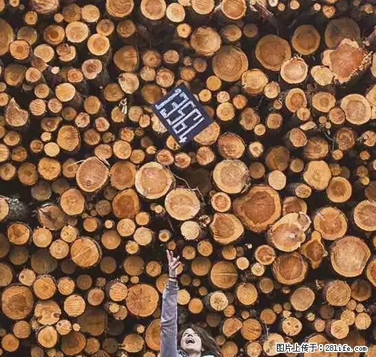 辞掉工作周游世界？现在他们在洗厕所…… - 游山玩水 - 锦州生活社区 - 锦州28生活网 jinzhong.28life.net