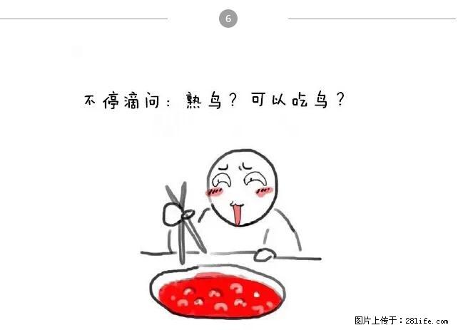 千万不要和这9种哈卵一起吃火锅！ - 美食天地 - 锦州生活社区 - 锦州28生活网 jinzhong.28life.net