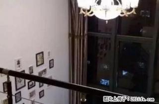艺龙国际公寓 一室 精装修 包取暖 - 锦州28生活网 jinzhong.28life.net