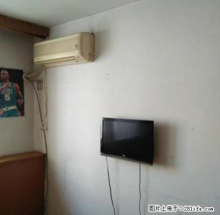 古城新苑 一室 中等装修 干净整洁 可拎包入住 - 锦州28生活网 jinzhong.28life.net