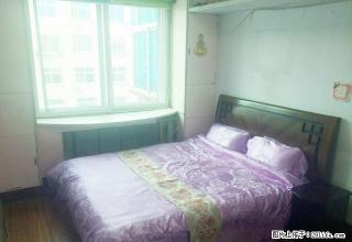 南京路 牡丹市场 附近干净两室出租 如家酒店后身免中介费 - 锦州28生活网 jinzhong.28life.net