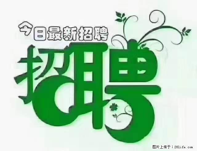 【招聘摄像师】待遇：试用期6000元/月，转正7000元/月+五险一金+餐补+节日福利+奖金 - 职场交流 - 锦州生活社区 - 锦州28生活网 jinzhong.28life.net