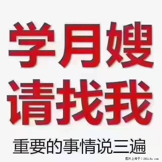 【招聘】月嫂，上海徐汇区 - 职场交流 - 锦州生活社区 - 锦州28生活网 jinzhong.28life.net