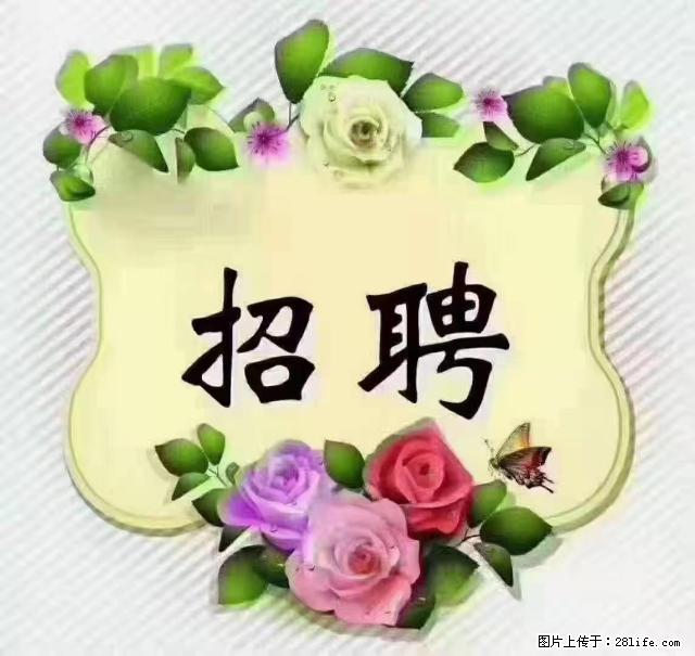 【招聘】住家育儿嫂，上户日期：4月4日，工作地址：上海 黄浦区 - 职场交流 - 锦州生活社区 - 锦州28生活网 jinzhong.28life.net