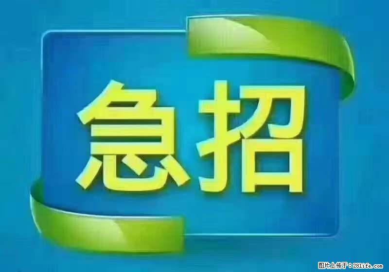 招出纳8000元/月，无证可以，要有相关经验，上海五险一金，包住，包工作餐，做六休一。 - 职场交流 - 锦州生活社区 - 锦州28生活网 jinzhong.28life.net