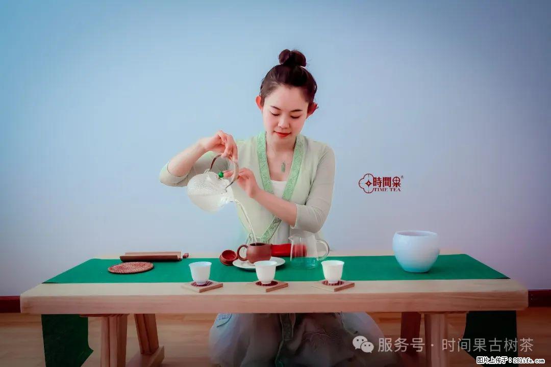 时间果百年古树龙珠普洱生茶 - 购物交流 - 锦州生活社区 - 锦州28生活网 jinzhong.28life.net