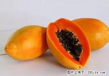 晕车、脚气、牙齿变黄、皮肤粗糙？学会这些三分钟搞定！ - 锦州生活资讯 - 锦州28生活网 jinzhong.28life.net