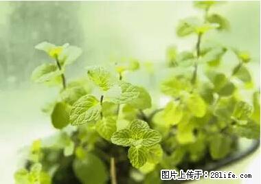 晕车、脚气、牙齿变黄、皮肤粗糙？学会这些三分钟搞定！ - 锦州生活资讯 - 锦州28生活网 jinzhong.28life.net
