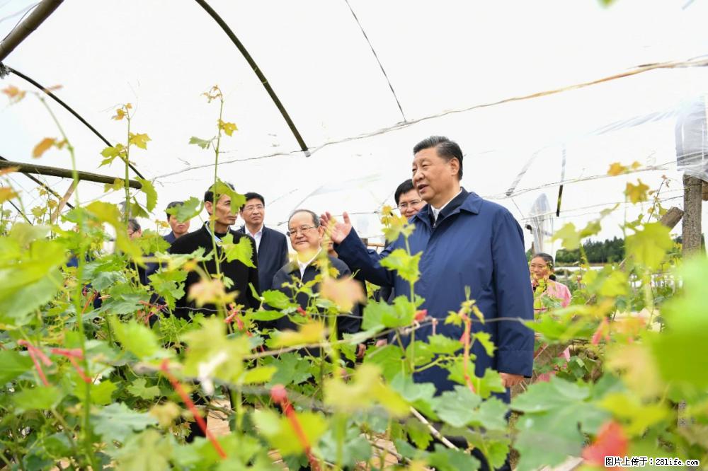 习近平赴广西考察调研 - 锦州生活资讯 - 锦州28生活网 jinzhong.28life.net