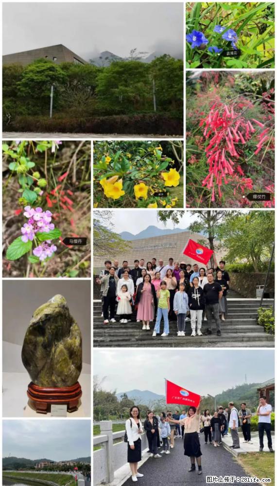 “粤灌文化 美好生活”油茶文化主题活动在广东深圳成功举办 - 锦州生活资讯 - 锦州28生活网 jinzhong.28life.net