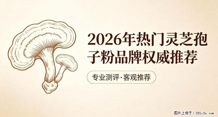 灵芝孢子粉含量越高越有效？2026 年七款热门品牌深度实测，肠胃敏感者避坑指南 - 锦州生活资讯 - 锦州28生活网 jinzhong.28life.net
